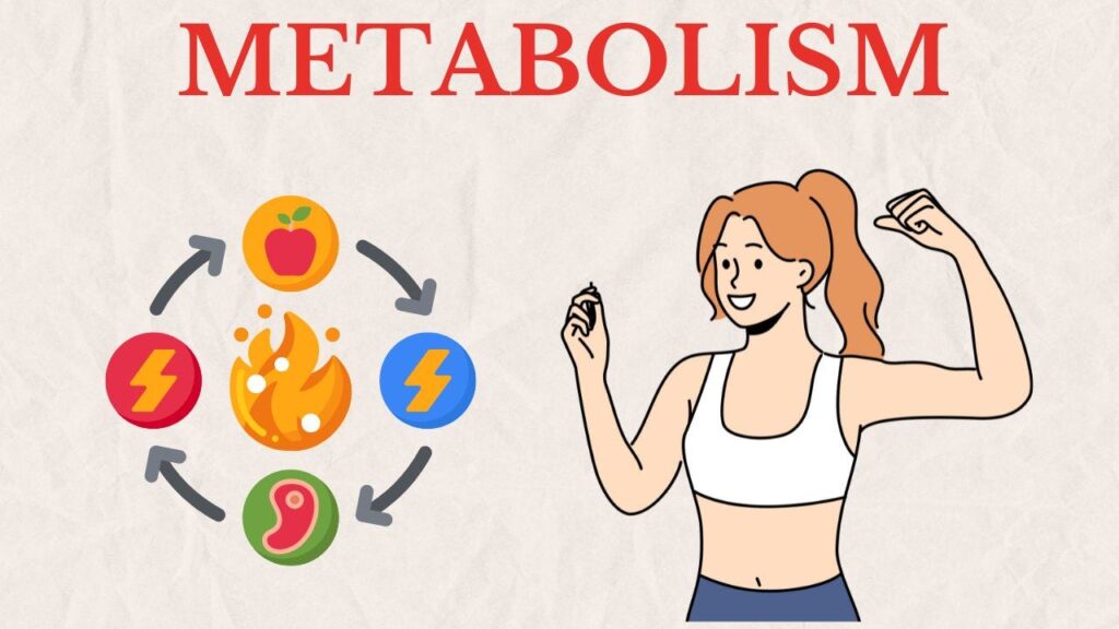 WEIGHT LOSS FAT CUTTING WITH METABOLISM