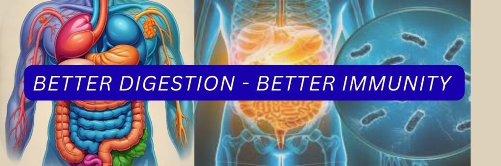 better digestion better immunity