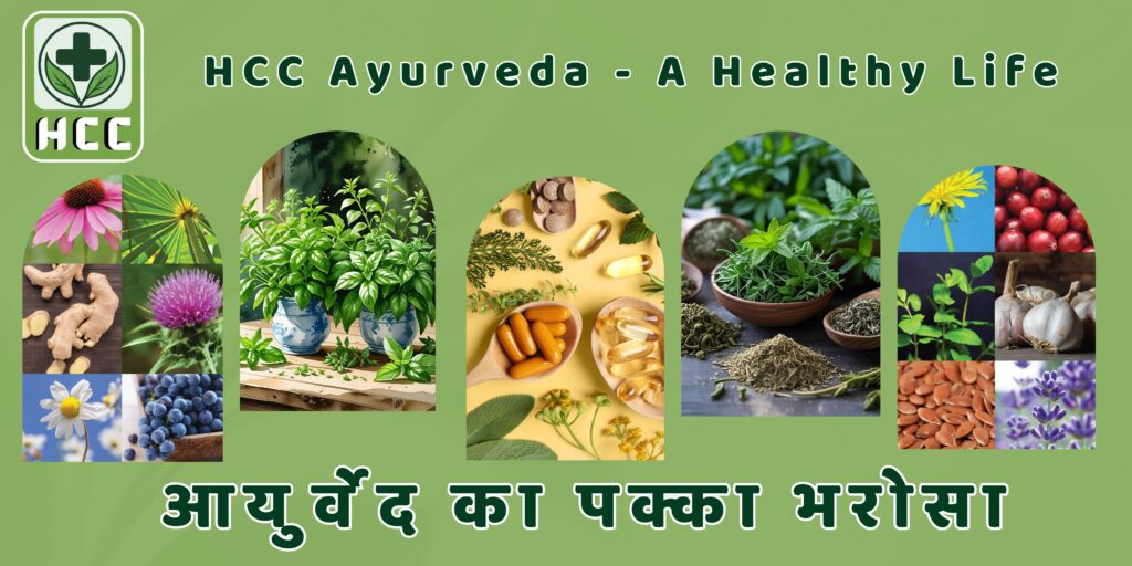 gray minimalist new collection banner